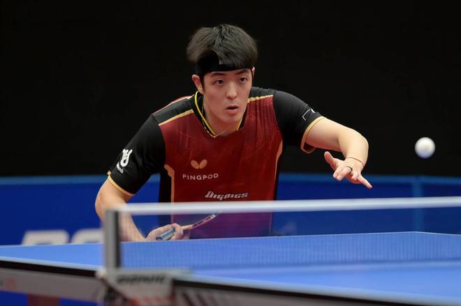 的沉着冷静 的沉着冷静