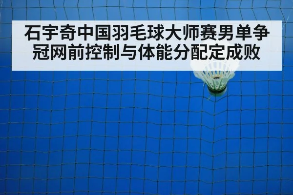 badminton net shot