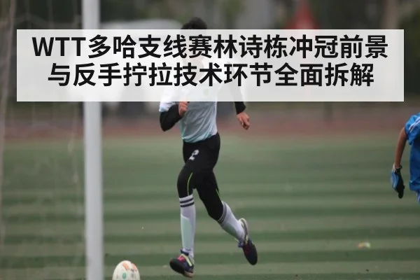 WTT多哈支线赛林诗栋冲冠前景与反手拧拉技术环节全面拆解